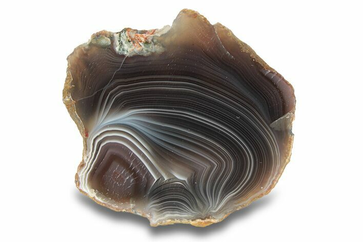 Polished Botswana Agate - Botswana #279743